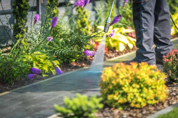 Best Dumpster Area Cleaning  in Greenville, FL