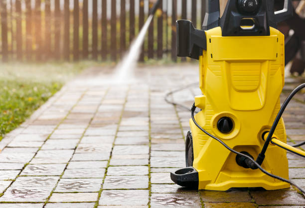 Best Solar Panel Cleaning  in Greenville, FL